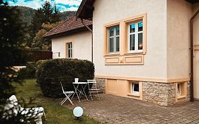 Wonderfull Cozy Villa - Old Town Center Brasov